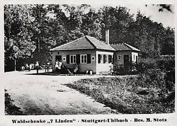 7-Linden