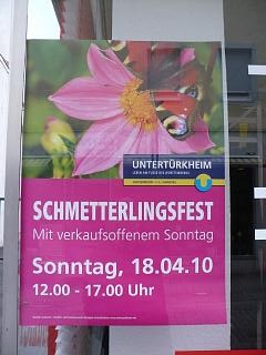 Schmetterlin