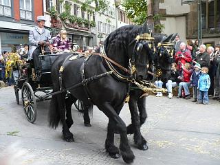 Umzug