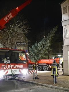 Baum