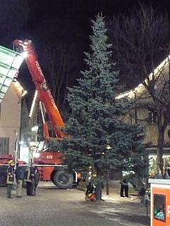 Baum