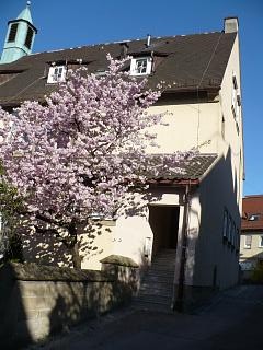 Schulhaus Eingang
