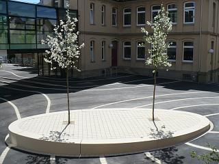Wilhelmsschule