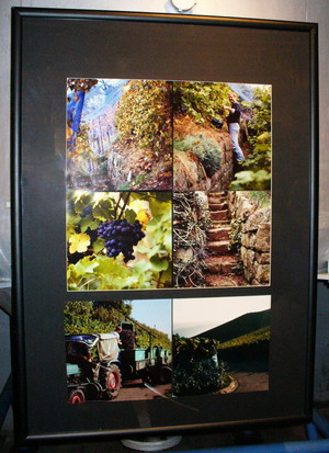 Fotos
