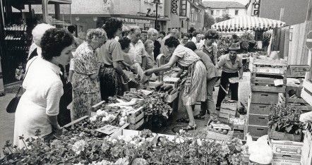 1986